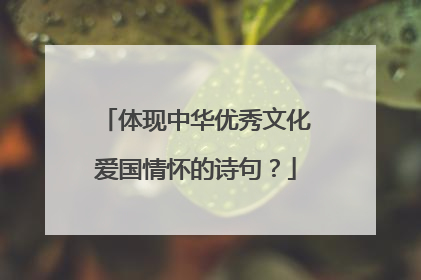 体现中华优秀文化爱国情怀的诗句?
