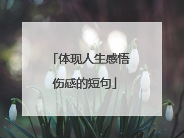 体现人生感悟伤感的短句