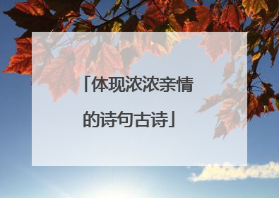 体现浓浓亲情的诗句古诗