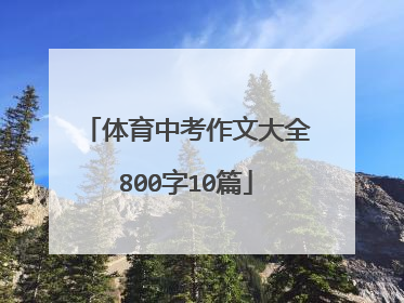 体育中考作文大全800字10篇