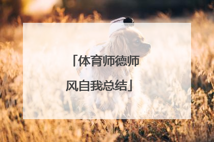 体育师德师风自我总结