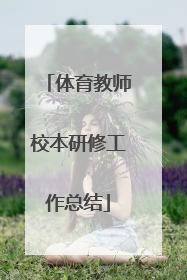 体育教师校本研修工作总结