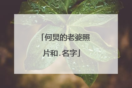 何炅的老婆照片和.名字