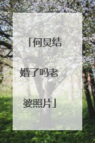 何炅结婚了吗老婆照片