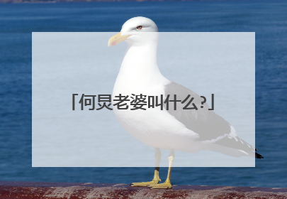 何炅老婆叫什么?