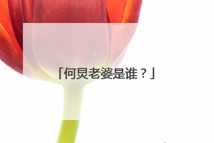 何炅老婆是谁?