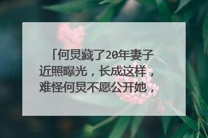 何炅藏了20年妻子近照曝光，长成这样，难怪何炅不愿公开她，到底长啥样？