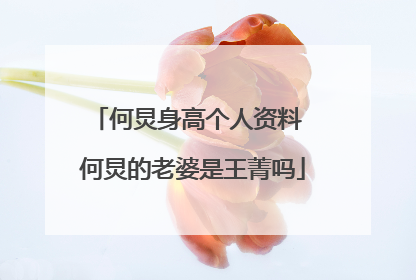 何炅身高个人资料 何炅的老婆是王菁吗