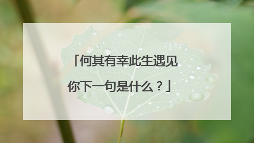 何其有幸此生遇见你下一句是什么?