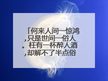 何来人间一惊鸿,只是世间一俗人。枉有一杯醉人酒,却解不了半点俗世愁。啥意思？