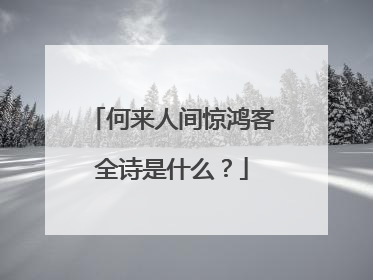 何来人间惊鸿客全诗是什么?