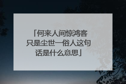 何来人间惊鸿客 只是尘世一俗人这句话是什么意思
