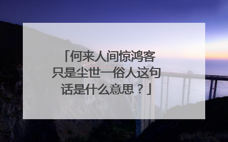 何来人间惊鸿客 只是尘世一俗人这句话是什么意思?
