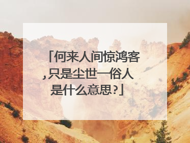 何来人间惊鸿客,只是尘世一俗人是什么意思?