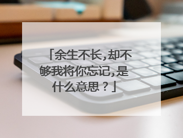 余生不长,却不够我将你忘记,是什么意思？