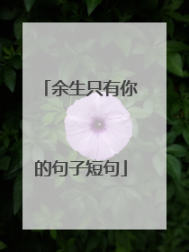 余生只有你的句子短句