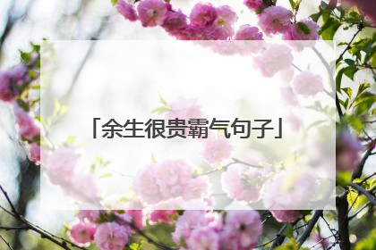 余生很贵霸气句子