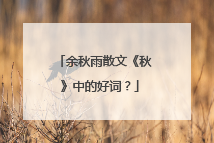 余秋雨散文《秋》中的好词？