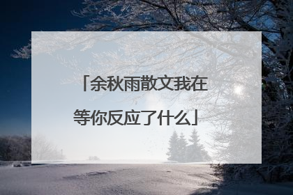 余秋雨散文我在等你反应了什么