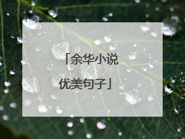 余华小说优美句子