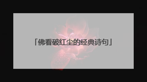 佛看破红尘的经典诗句