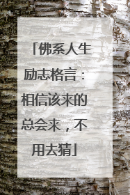佛系人生励志格言：相信该来的总会来，不用去猜