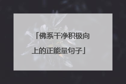 佛系干净积极向上的正能量句子