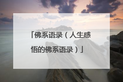 佛系语录（人生感悟的佛系语录）
