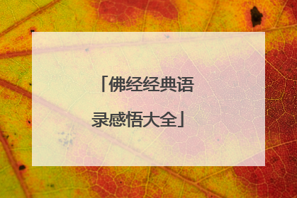 佛经经典语录感悟大全