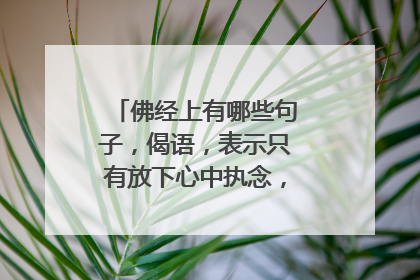 佛经上有哪些句子，偈语，表示只有放下心中执念，才能得道成佛？