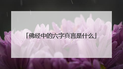 佛经中的六字真言是什么