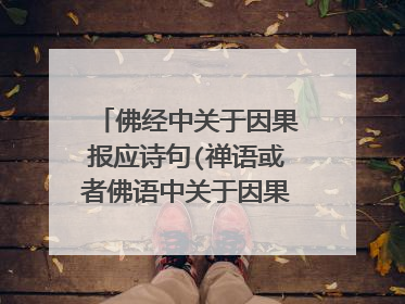 佛经中关于因果报应诗句(禅语或者佛语中关于因果报应的句子)