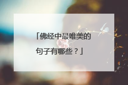 佛经中最唯美的句子有哪些?