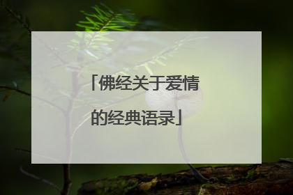 佛经关于爱情的经典语录