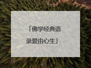 佛学经典语录爱由心生