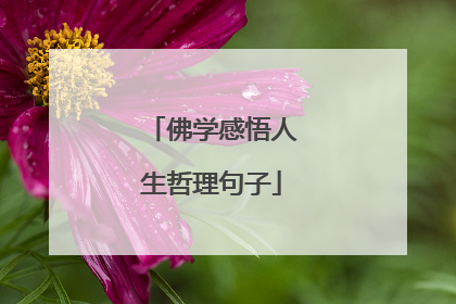 佛学感悟人生哲理句子