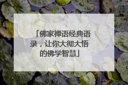 佛家禅语经典语录,让你大彻大悟的佛学智慧