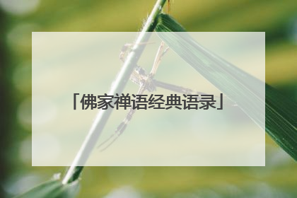 佛家禅语经典语录