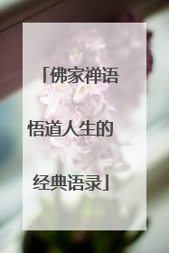 佛家禅语悟道人生的经典语录