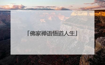 佛家禅语悟道人生