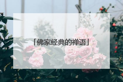 佛家经典的禅语