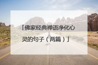 佛家经典禅语净化心灵的句子(两篇)