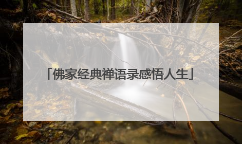 佛家经典禅语录感悟人生