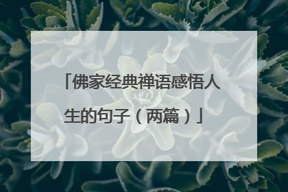 佛家经典禅语感悟人生的句子(两篇)