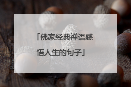 佛家经典禅语感悟人生的句子
