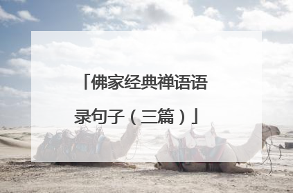 佛家经典禅语语录句子(三篇)