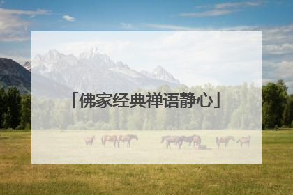 佛家经典禅语静心