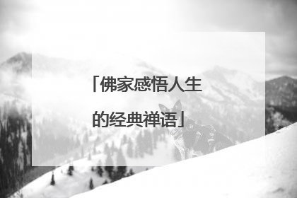 佛家感悟人生的经典禅语