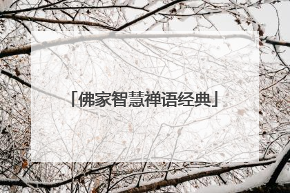 佛家智慧禅语经典