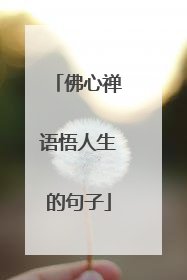 佛心禅语悟人生的句子